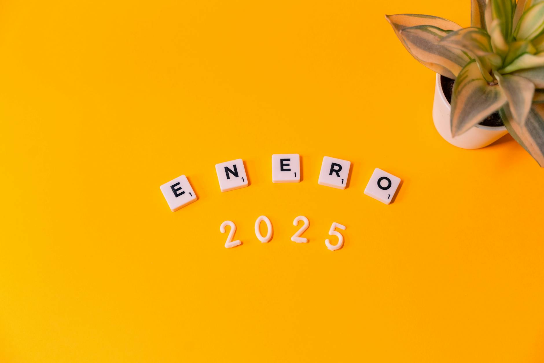 Analiza budżetu Gubin na 2025 rok: kluczowe fakty i wydatki.